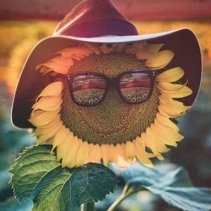 Meet your Posher, Jodi